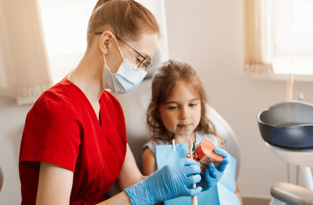 A female dentist is holding a  toothbrush and teeth model demonstrating to a child how to properly brush his teeth with a toothbrush, Proper brushing can decrease the risk of cavities