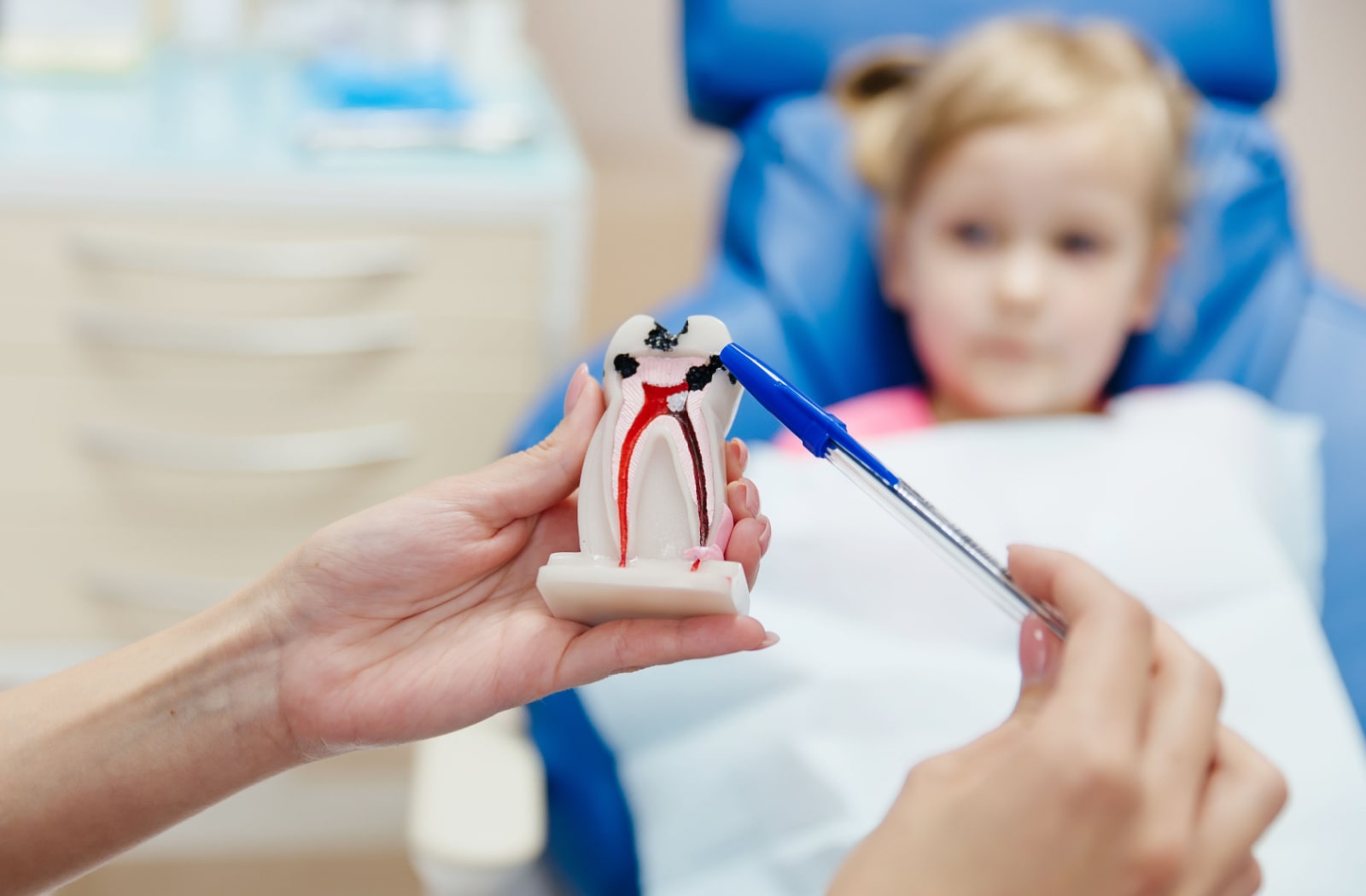 A dentist presenting a cross-section model of a tooth with cavities to a child.